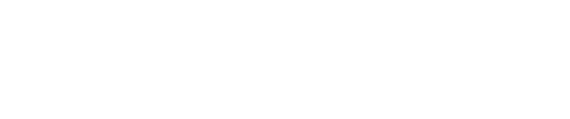ACTIONMILL GRIZZLY Groover
