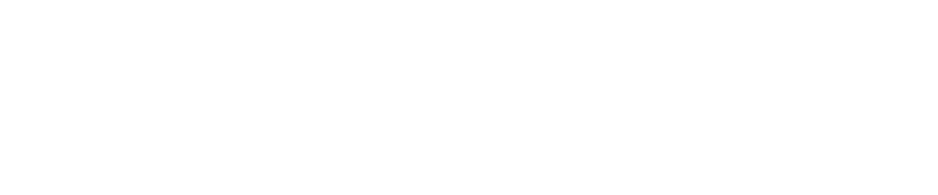ACTIONMILL INOX Lollipop-Z4 260° cooled
